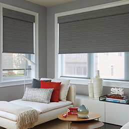 Hunter Douglas