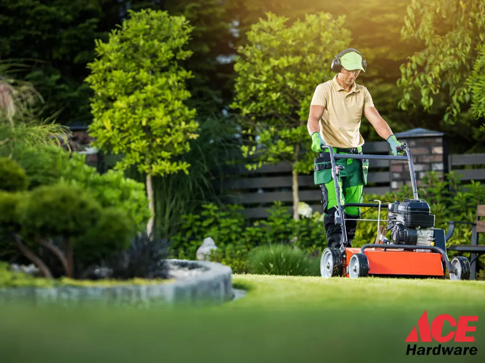Ace Hardware