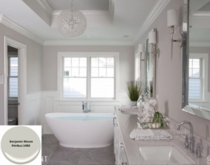 Benjamin Moore Nimbus 1465